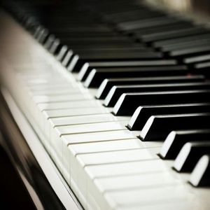 法国复古怀旧毛
