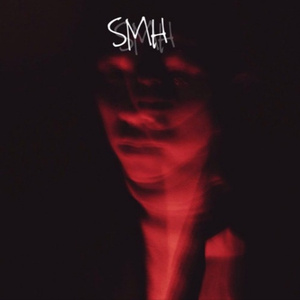 法国复古怀旧毛
