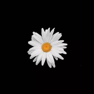 法国复古怀旧毛
