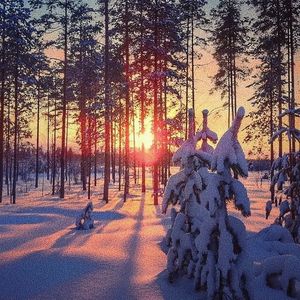 法国复古怀旧毛
