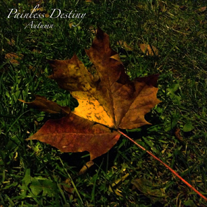 法国复古怀旧毛
